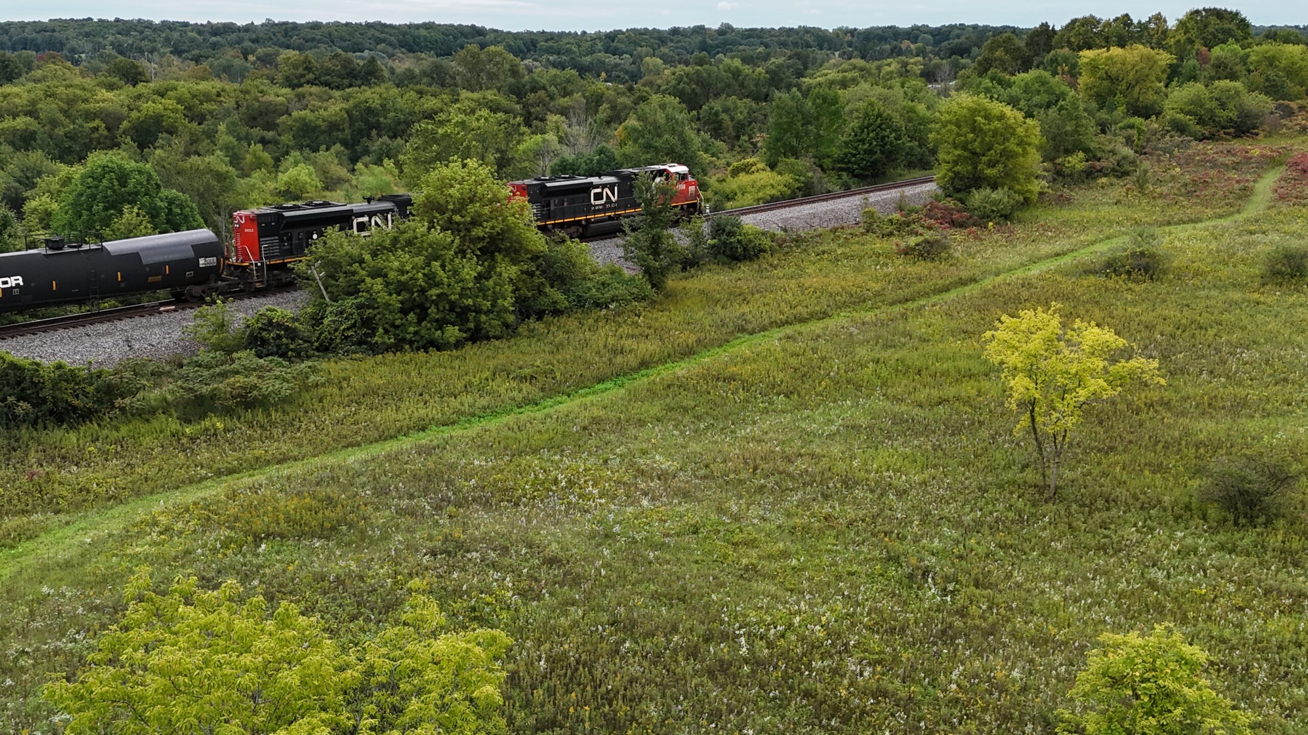A freight train passing through trees and open land near the Richfield project property.