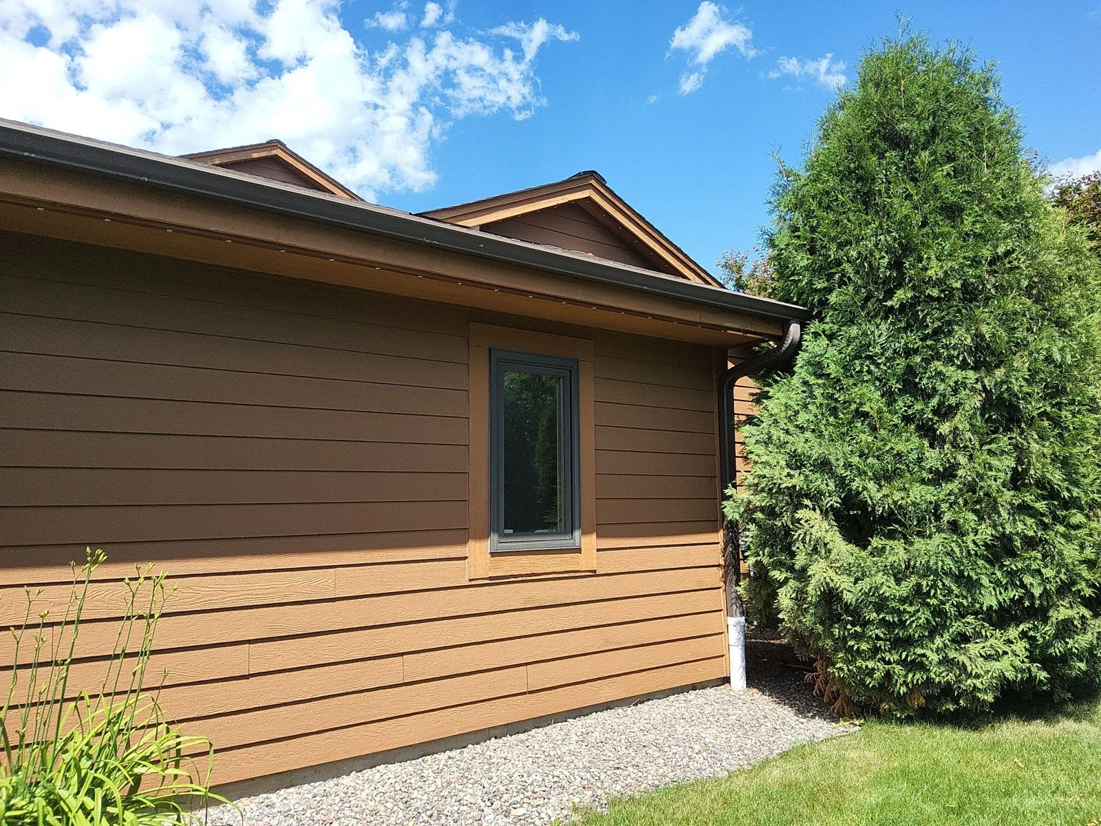 After: painted cement-board siding and stained window trim beside mature landscaping