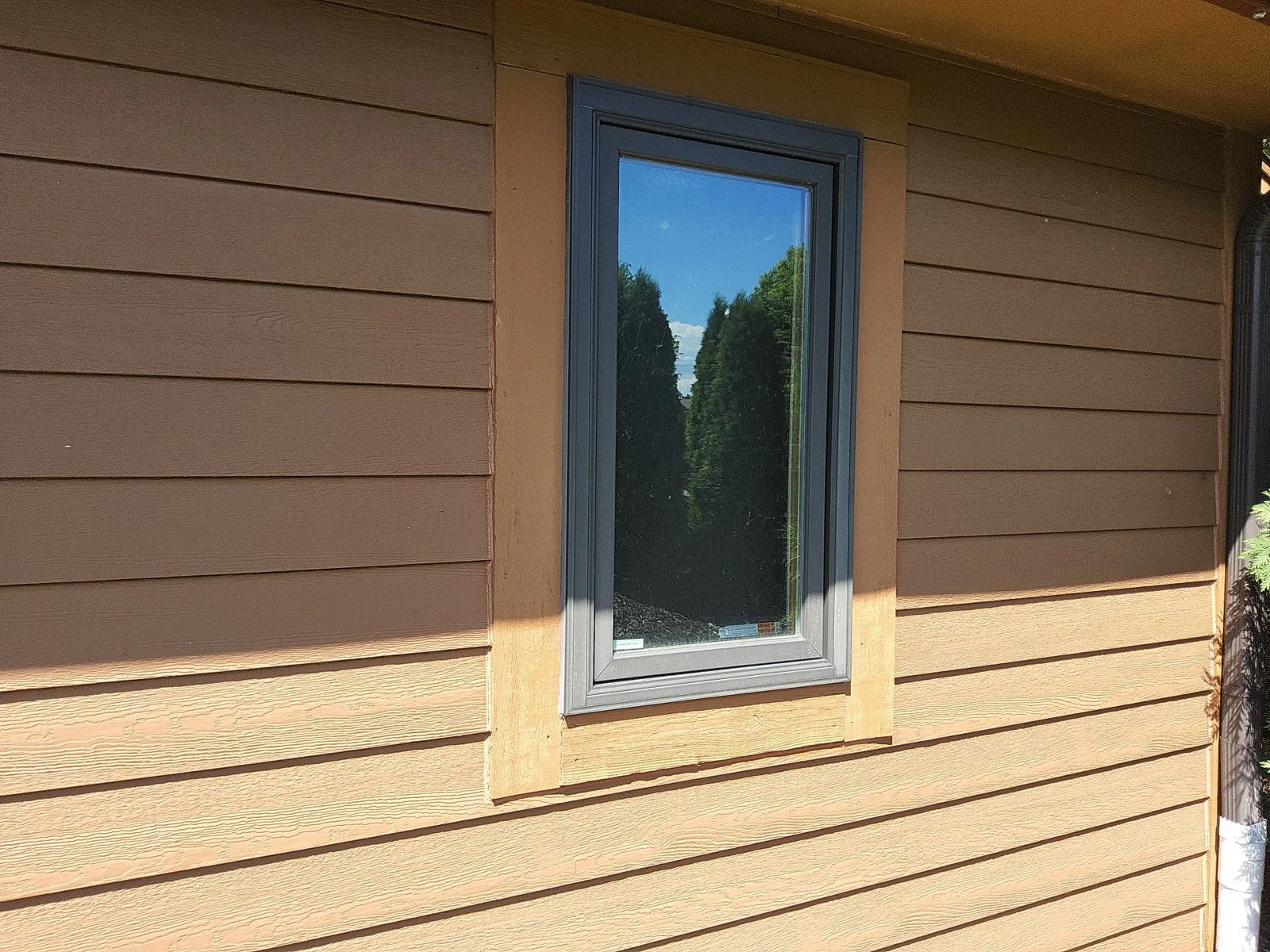 After: close view of a window framed by stained cedar trim and painted siding